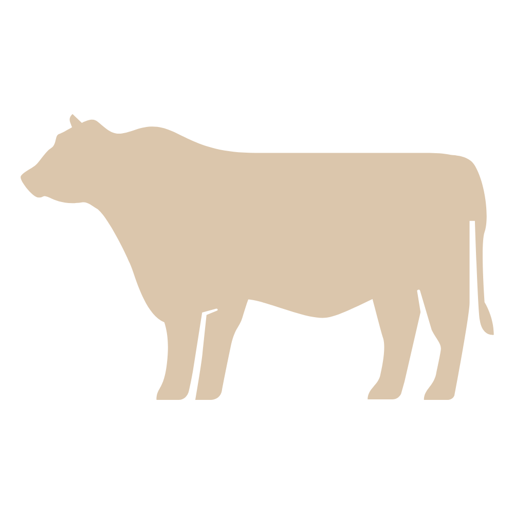 12h Braised Ox Cheek