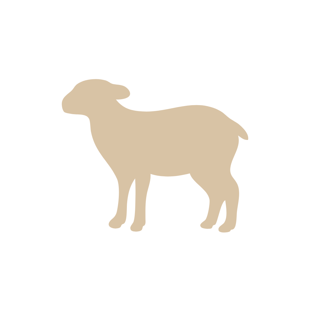 Pressed Lamb Shoulder